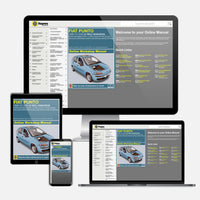 Fiat Punto Petrol (1999-2003) Haynes Online Manual Online Manual