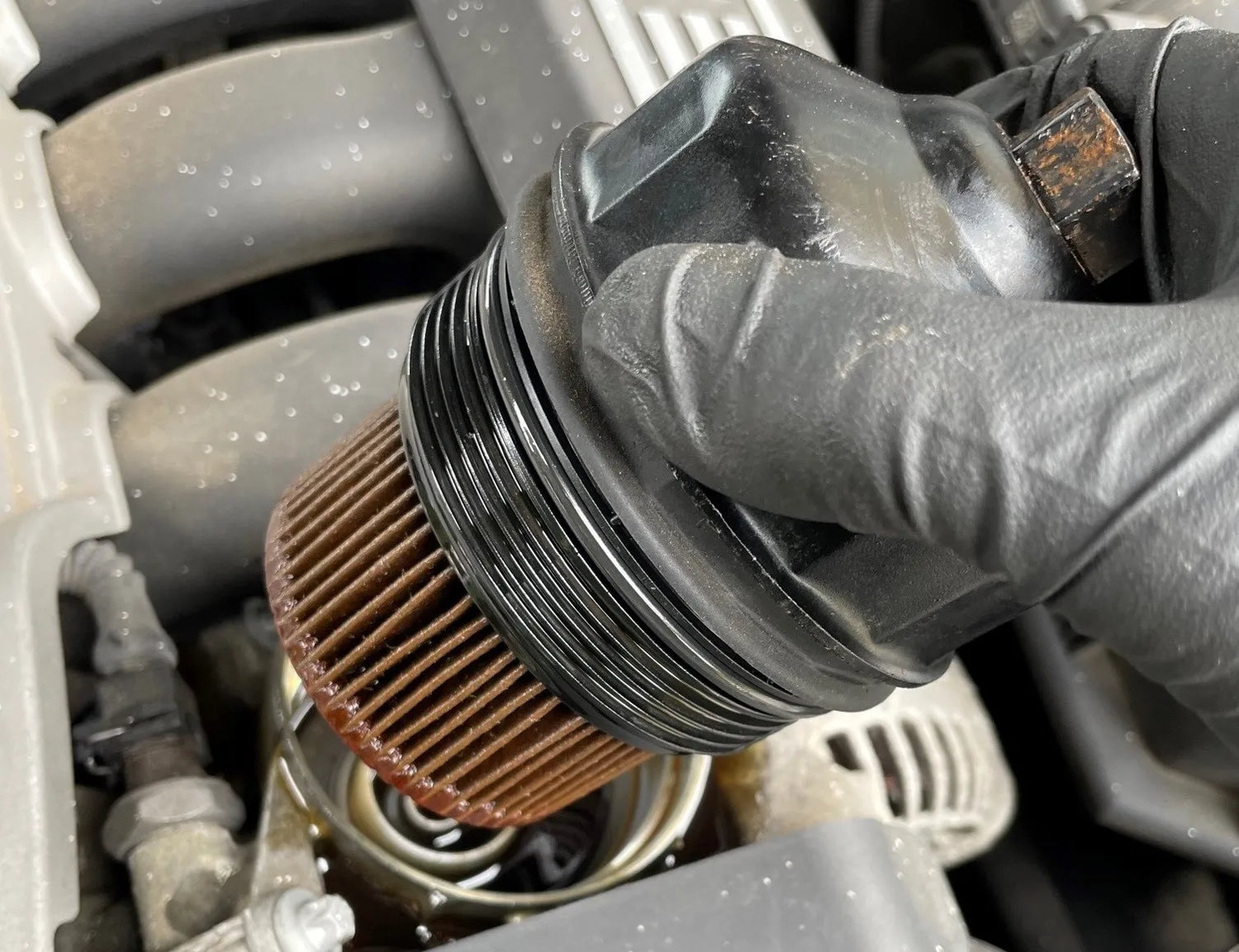 BMW Z4 oil and filter change