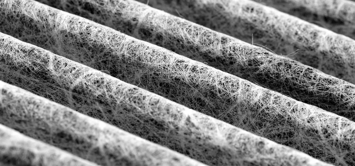 Common problems with pollen filters (and how to make them last ...
