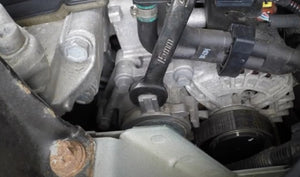 Berlingo drivebelt