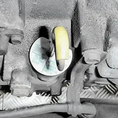 transmission oil