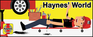 Borescope Haynes
