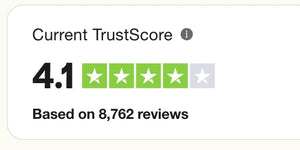 Haynes Trustpilot graphic