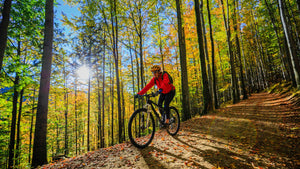 Bike maintenance tips