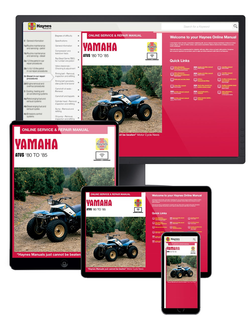 Yamaha ATV 3 & 4 wheelers, 2 & 4 stroke engines (1980-1985) Haynes Repair Manual