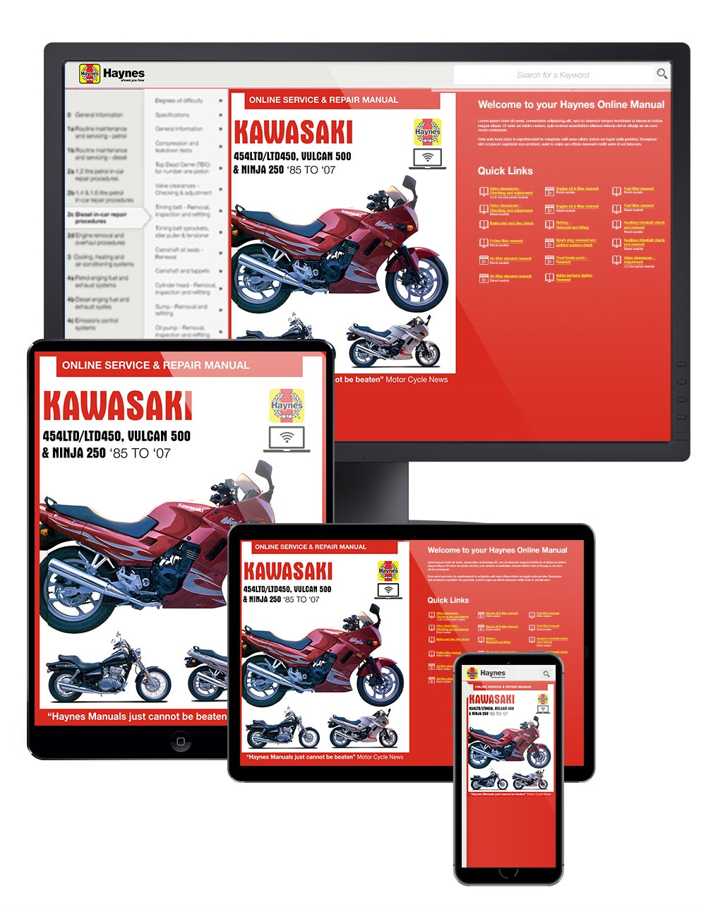 Kawasaki 454LTD/LTD450, Vulcan 500 & Ninja 250 (1985-2007) Haynes Repair Manual