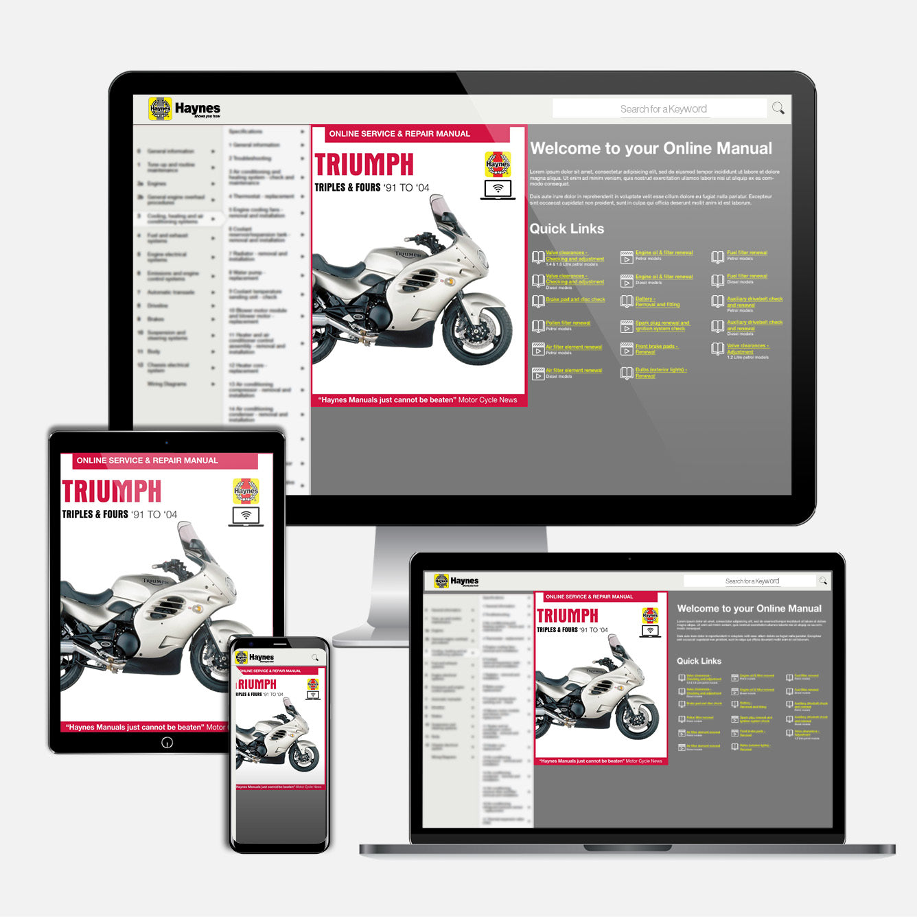 Triumph Triples & Fours (carburettor engines) (1991-2004) Haynes Repair Manual