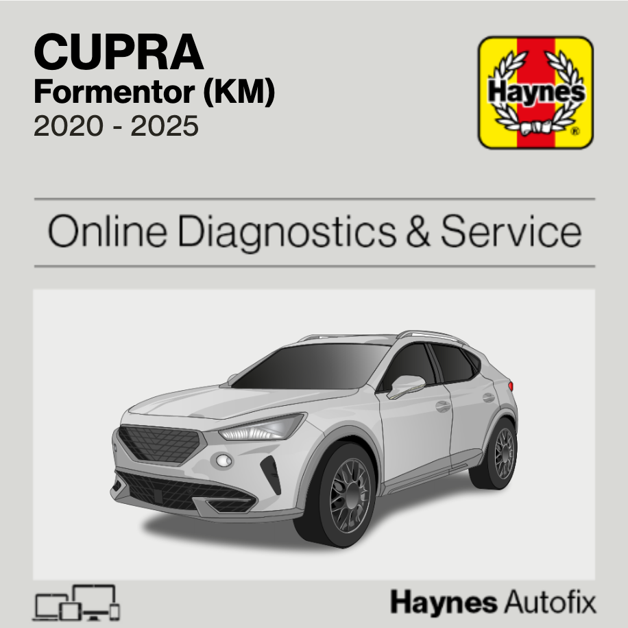 Cupra Formentor (KM) 2020 to 2025 Haynes Online Diagnostics & Service Guide