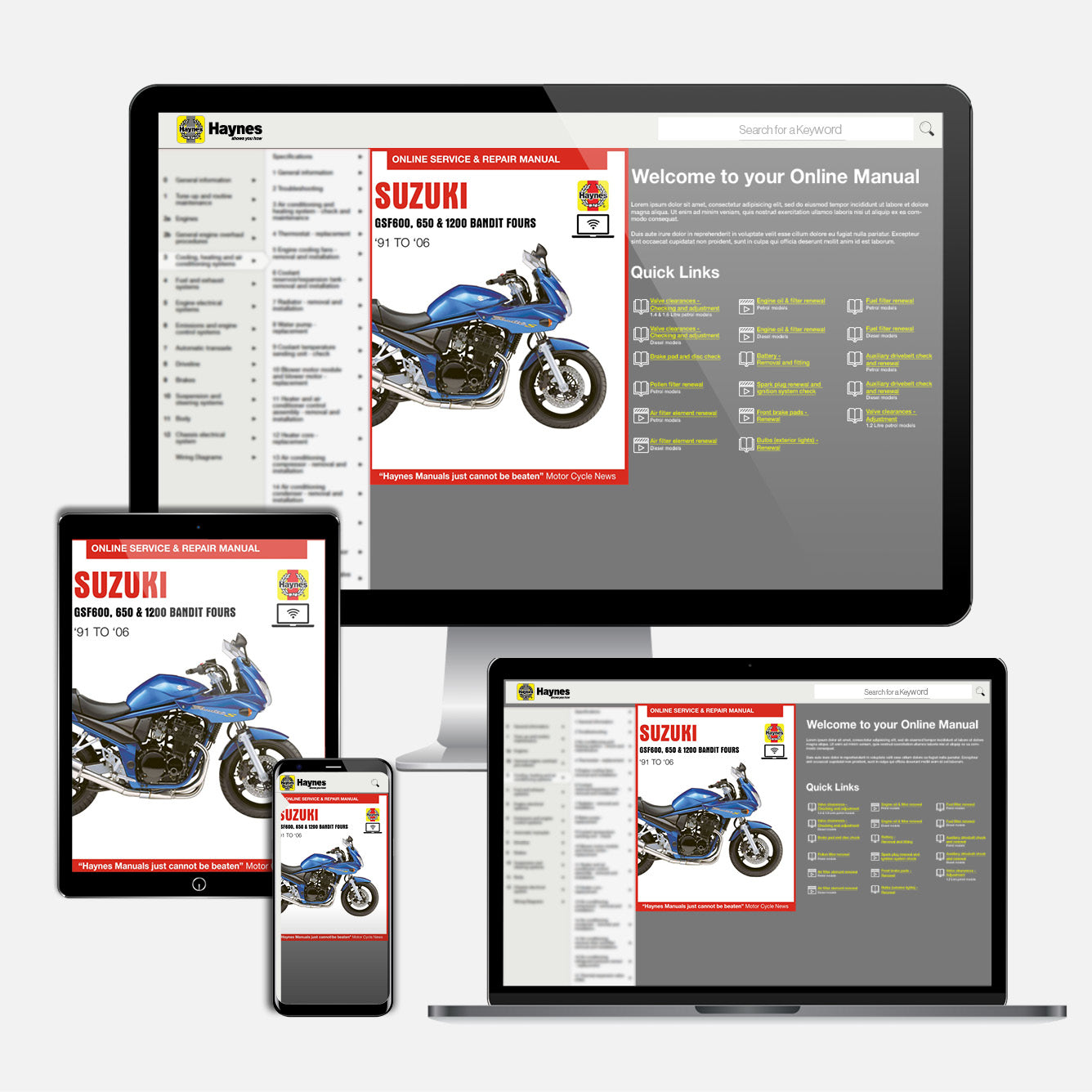 Suzuki GSF600, 650 & 1200 Bandit Fours (1995-2006) Haynes Repair Manual