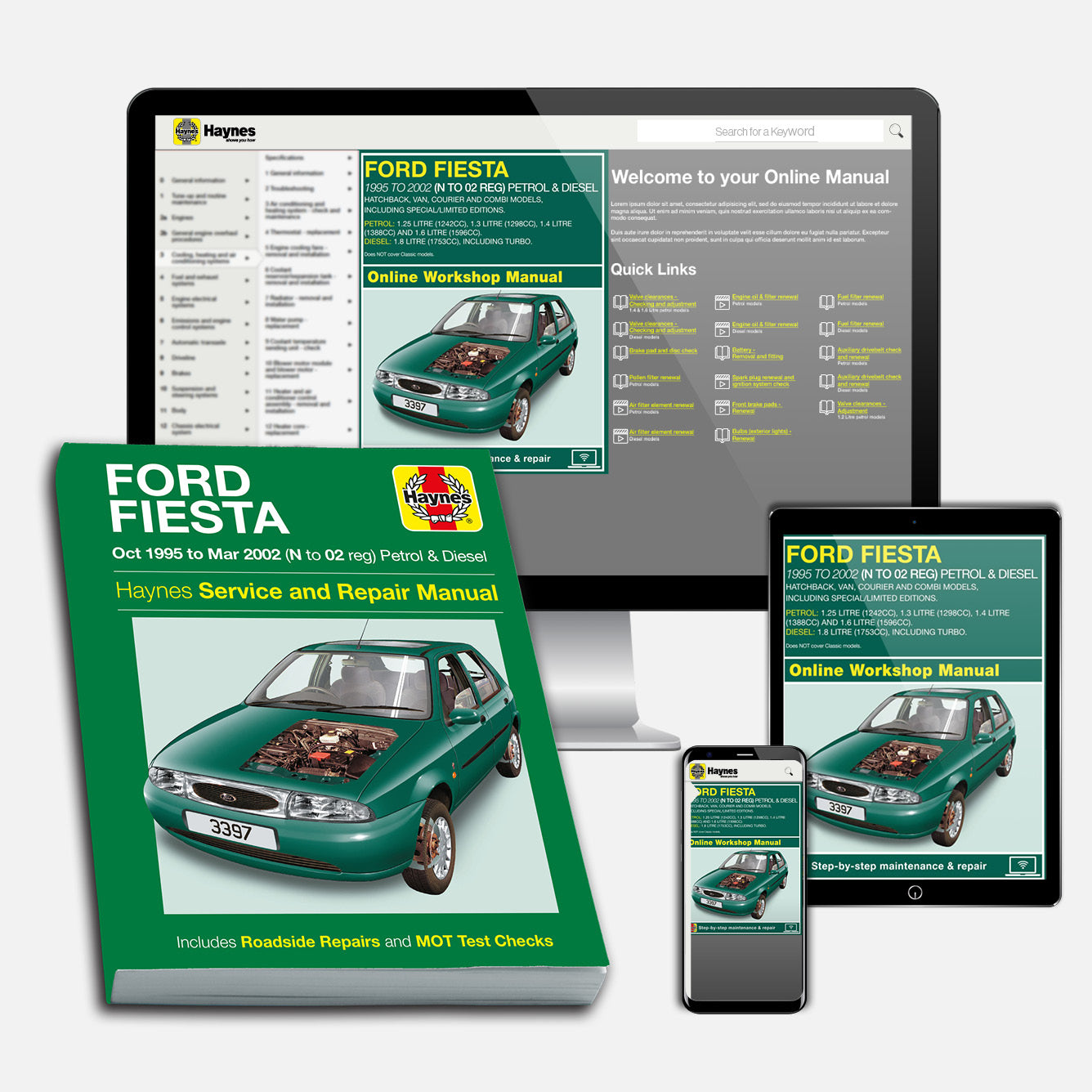 Ford Fiesta Petrol & Diesel (Oct 1995-Mar 2002) Haynes Repair Manual Bundle