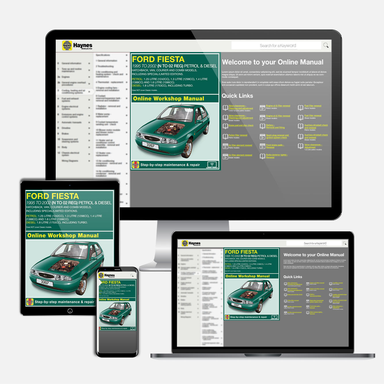 Ford Fiesta Petrol & Diesel (Oct 1995-Mar 2002) Haynes Repair Manual