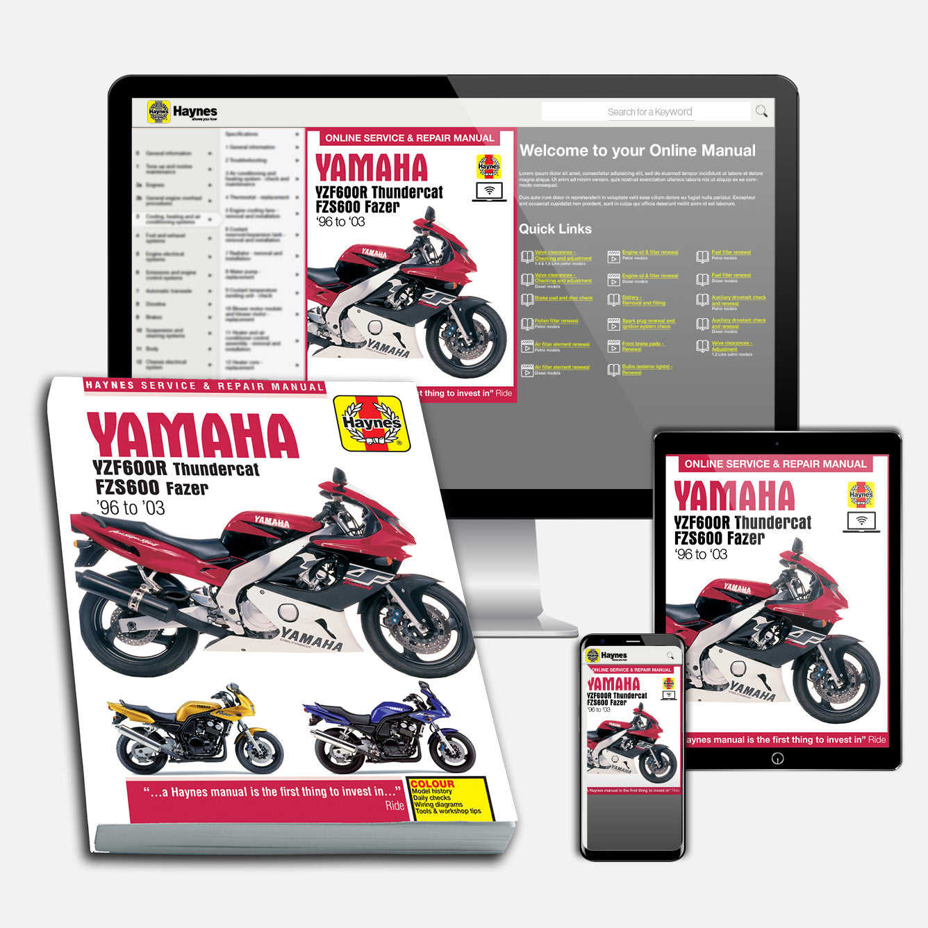 Yamaha YZF600R Thundercat & FZS600 Fazer (1996-2003) Haynes Repair Manual