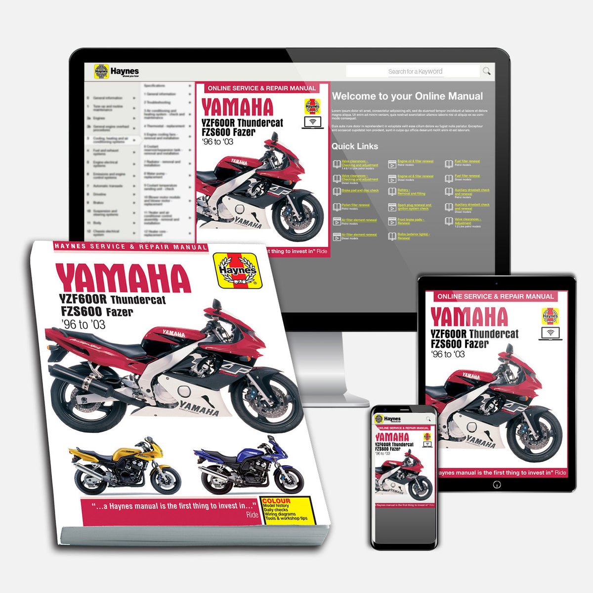Yamaha YZF600R Thundercat & FZS600 Fazer (1996-2003) Haynes Repair Man ...