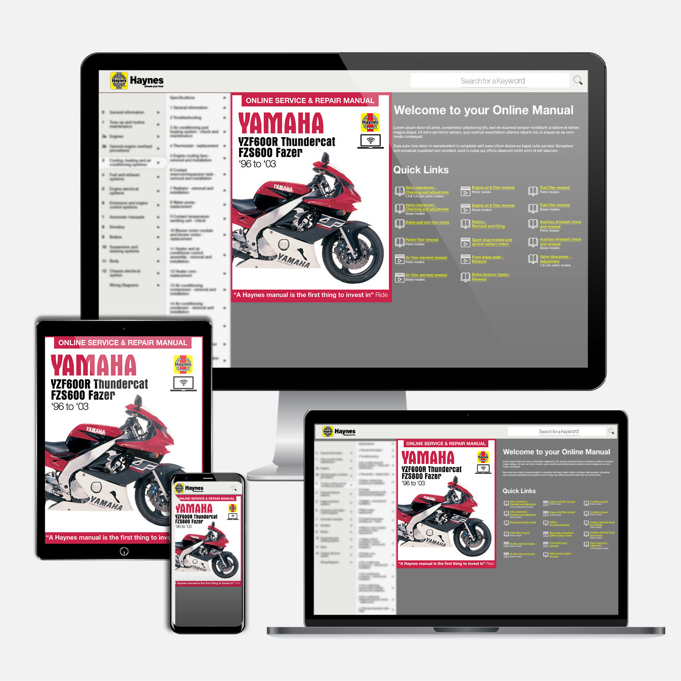 Yamaha YZF600R Thundercat & FZS600 Fazer (1996-2003) Haynes Repair Manual