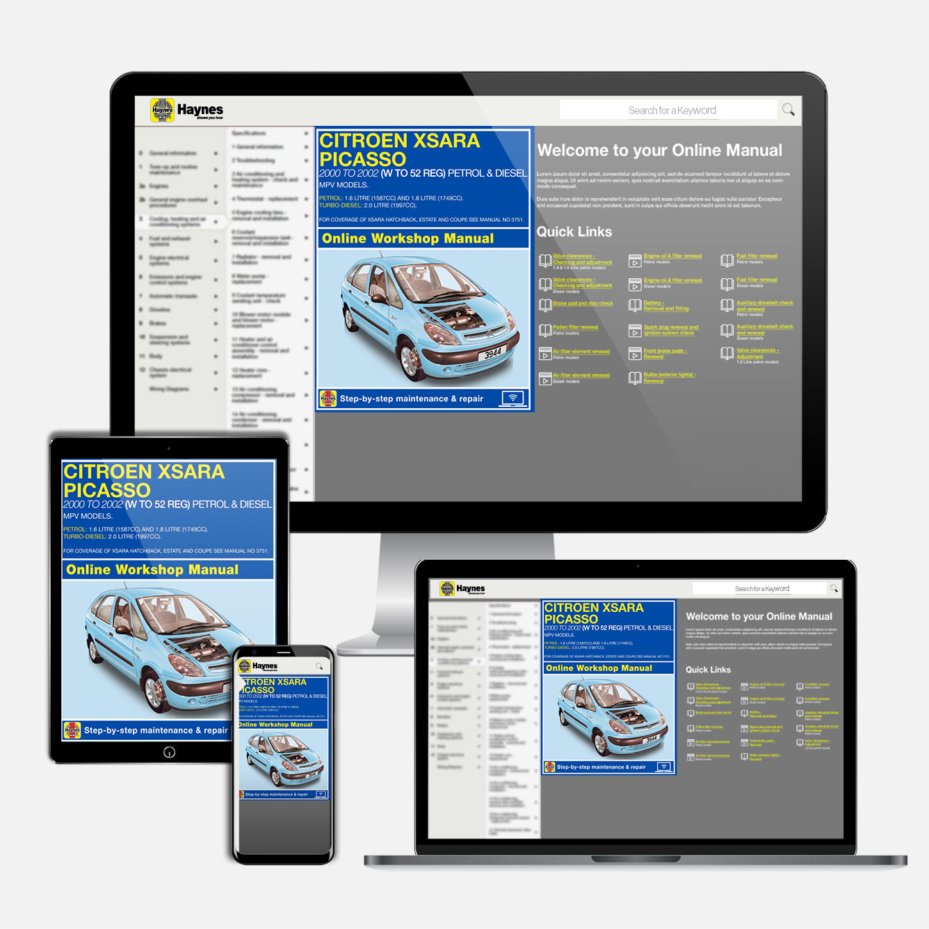 Citroen Xsara Picasso Petrol & Diesel (2000-2002) Haynes Repair Manual
