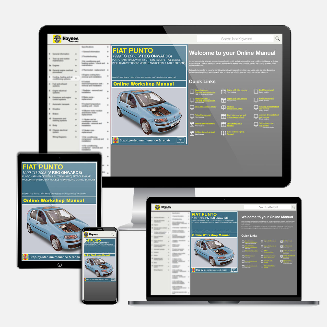 Fiat Punto Petrol (1999-2003) Haynes Online Manual