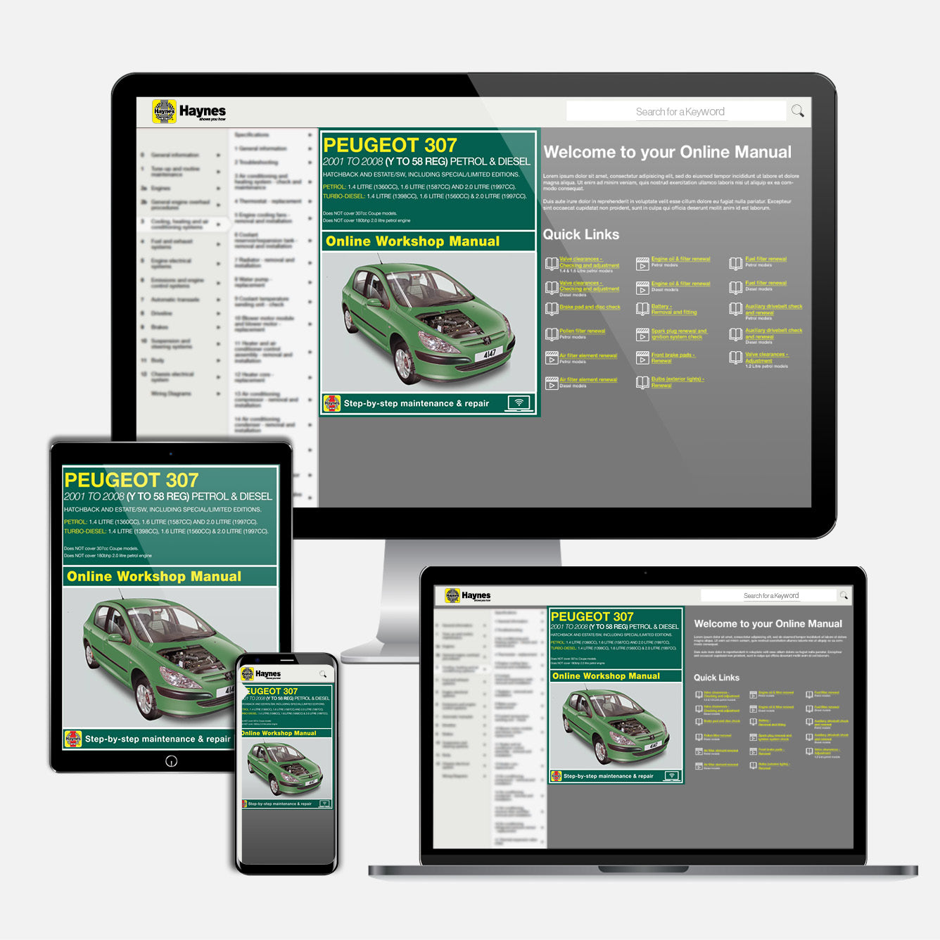 Peugeot 307 Petrol & Diesel (2001-2008) Haynes Repair Manual