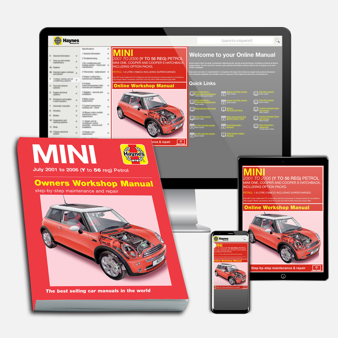 MINI Petrol (July 2001-2006) Haynes Repair Manual Bundle