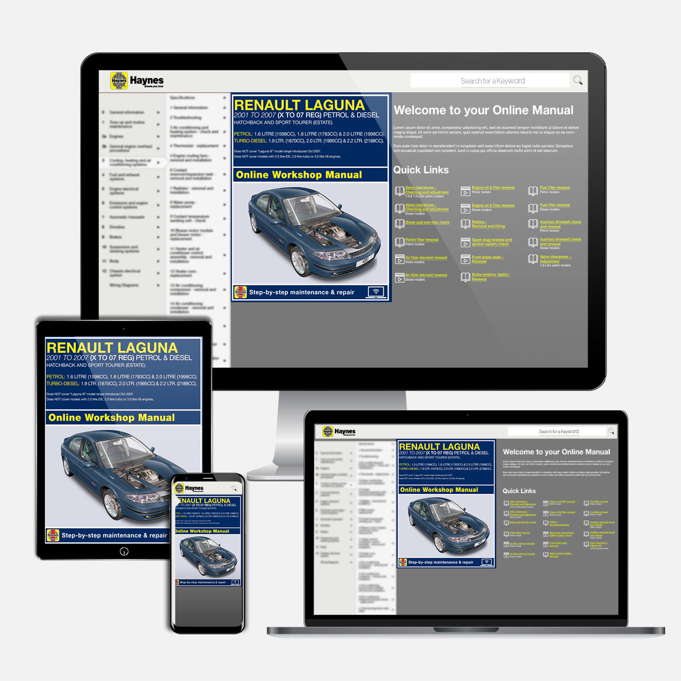Renault Laguna Petrol & Diesel (Feb 2001-May 2007) Haynes Repair Manual
