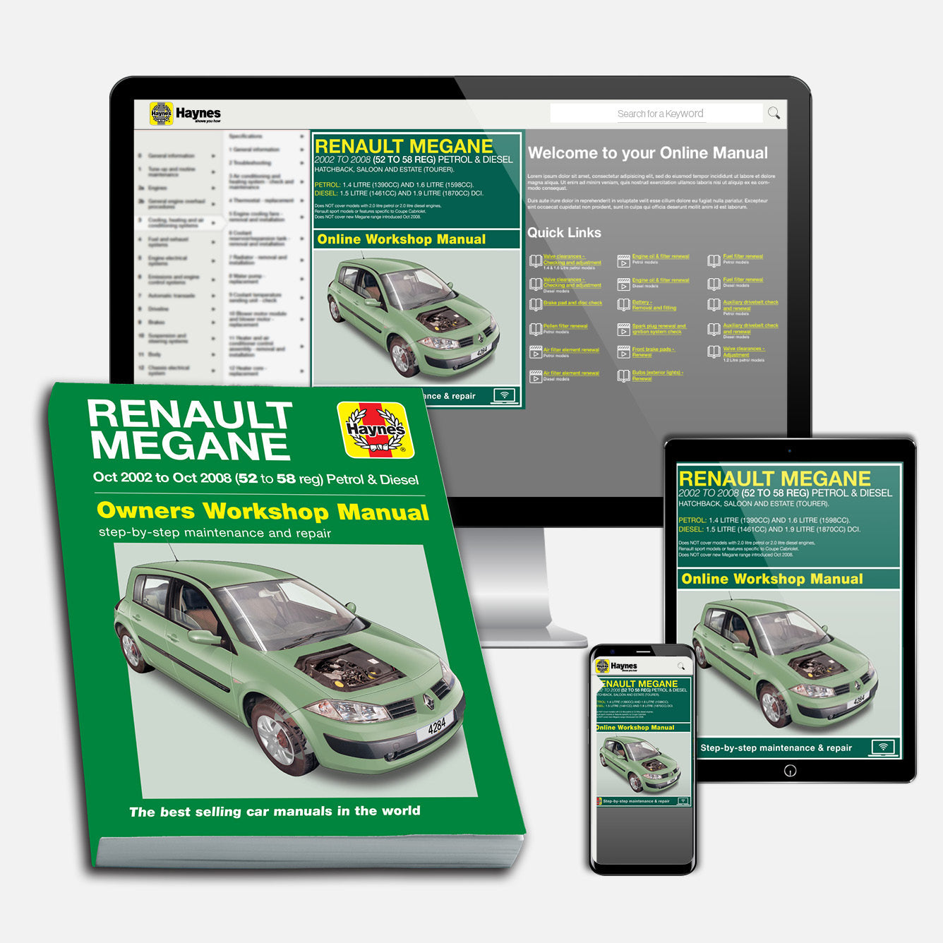 Renault Megane Petrol & Diesel (Oct 2002-2008) Haynes Repair Manual Bundle