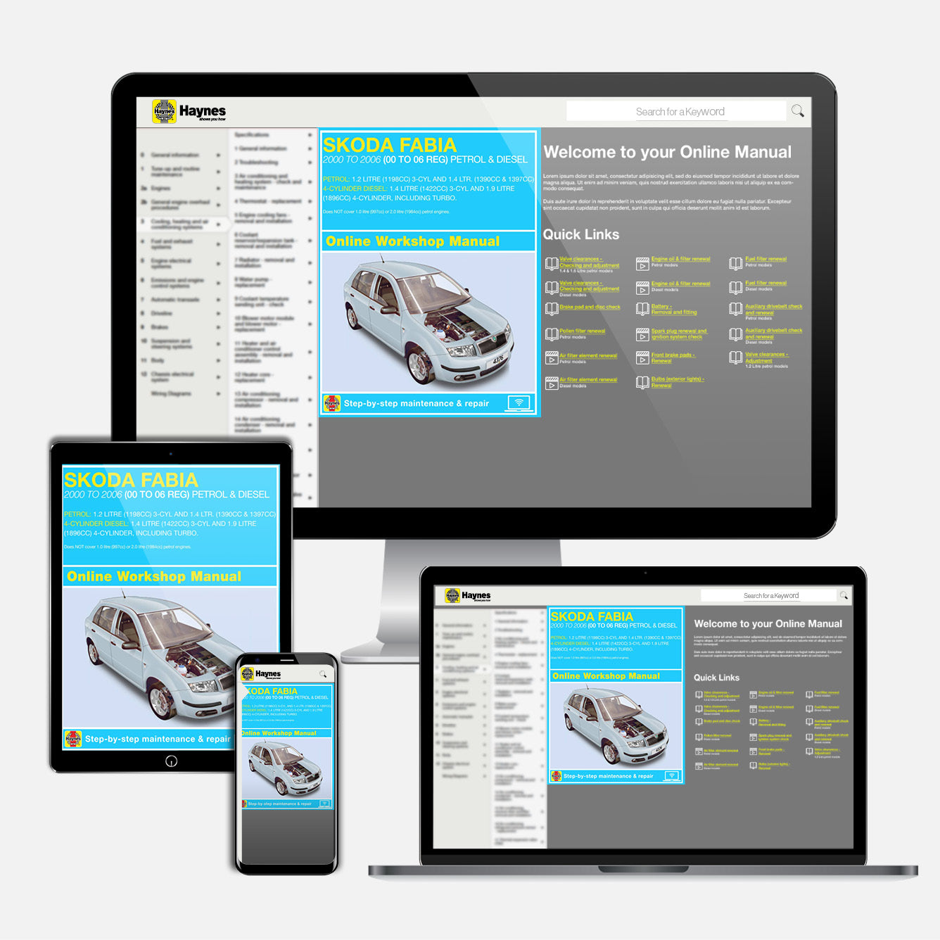 Skoda Fabia Petrol & Diesel (2000-2006) Haynes Repair Manual