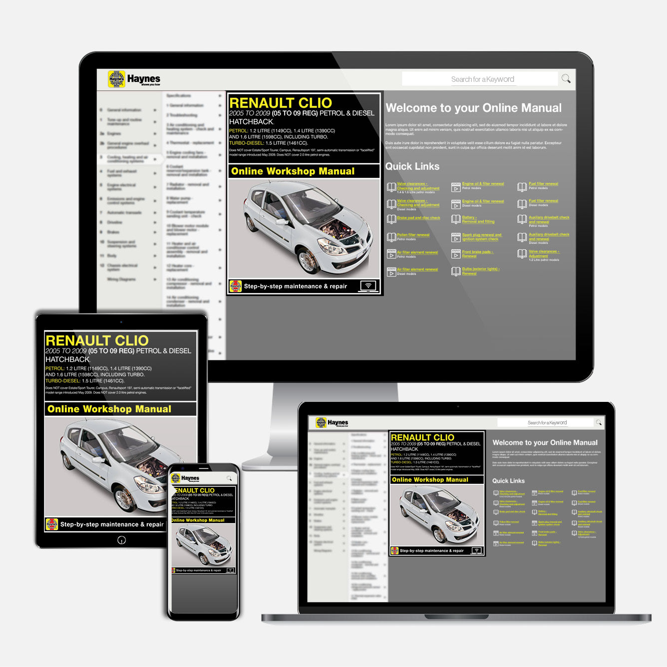 Renault Clio Petrol & Diesel (Oct 2005-May 2009) Haynes Repair Manual