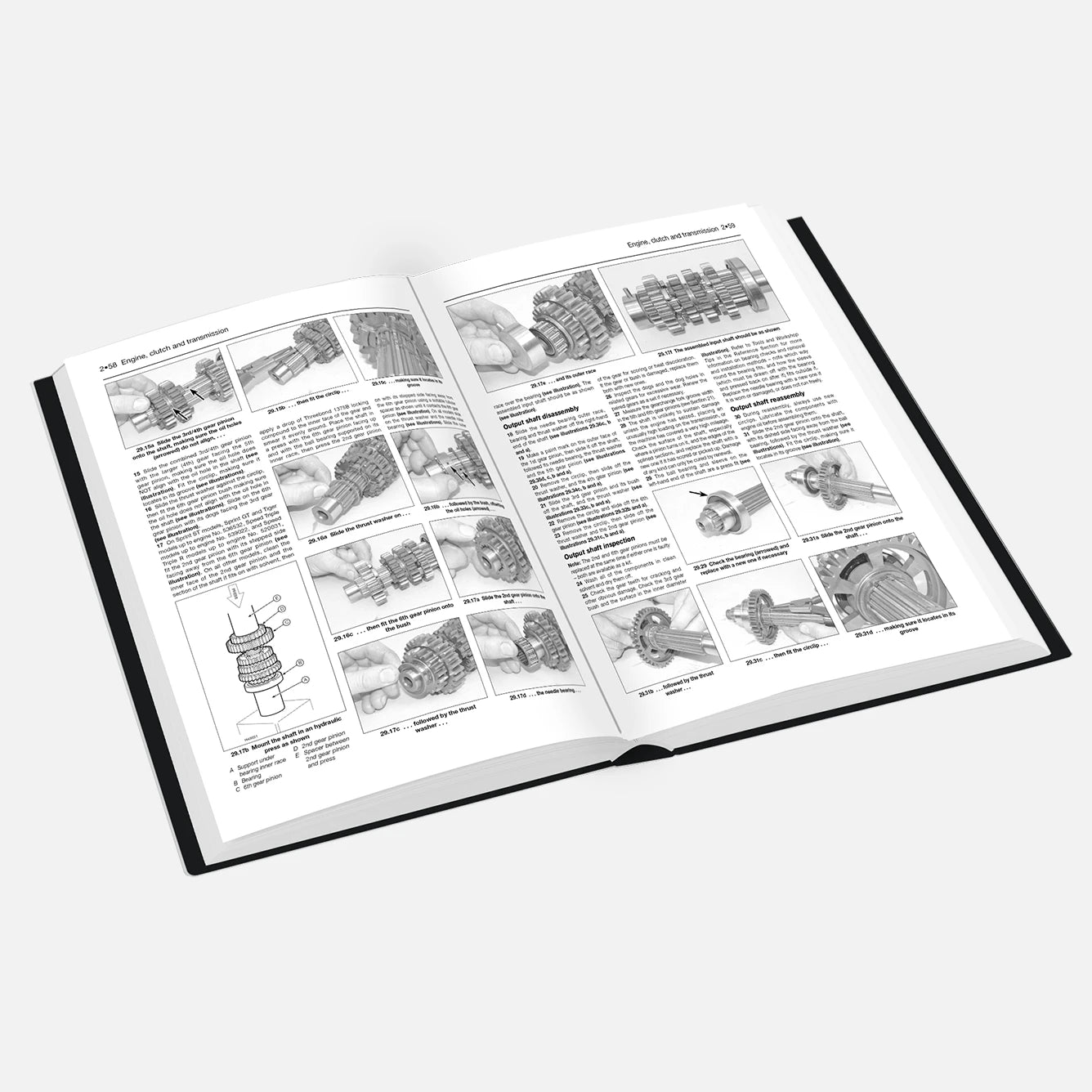 Open book with illustrations and text on a white background