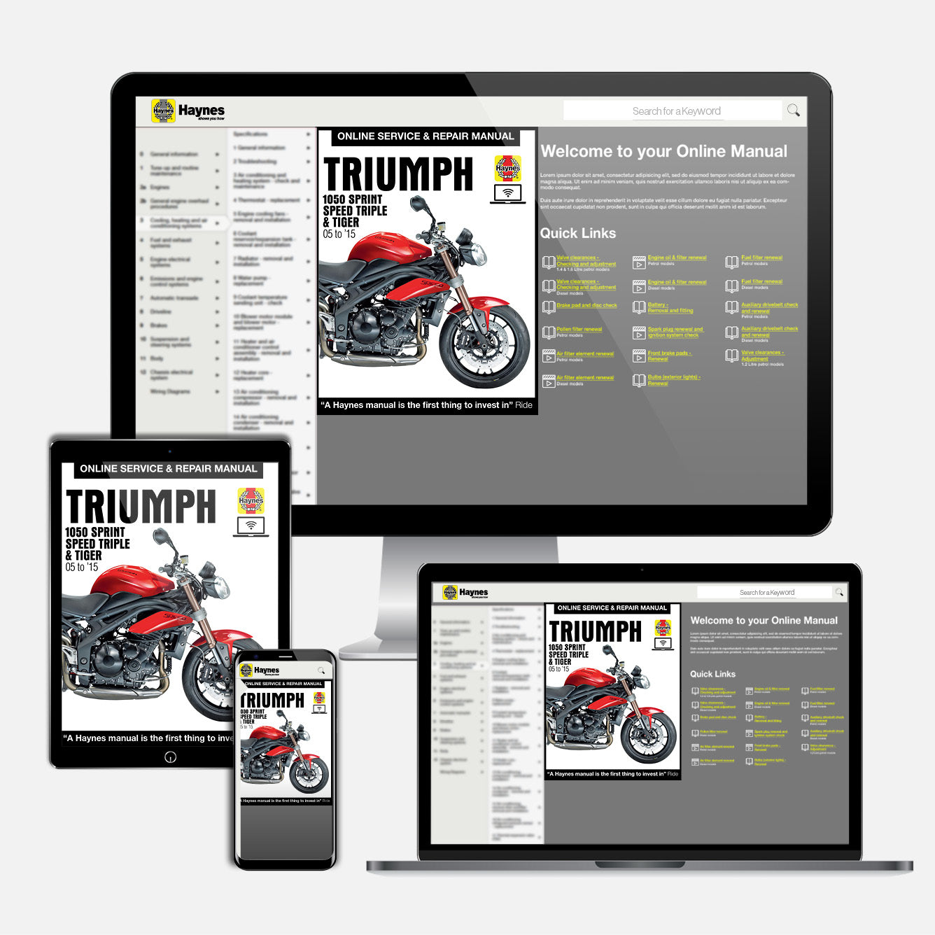 Triumph 1050 Sprint ST, Speed Triple & Tiger (2005-2015) Haynes Repair Manual