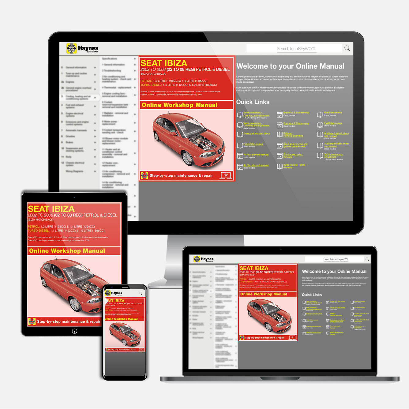 Seat Ibiza Petrol & Diesel (May 2002-Apr 2008) Haynes Repair Manual
