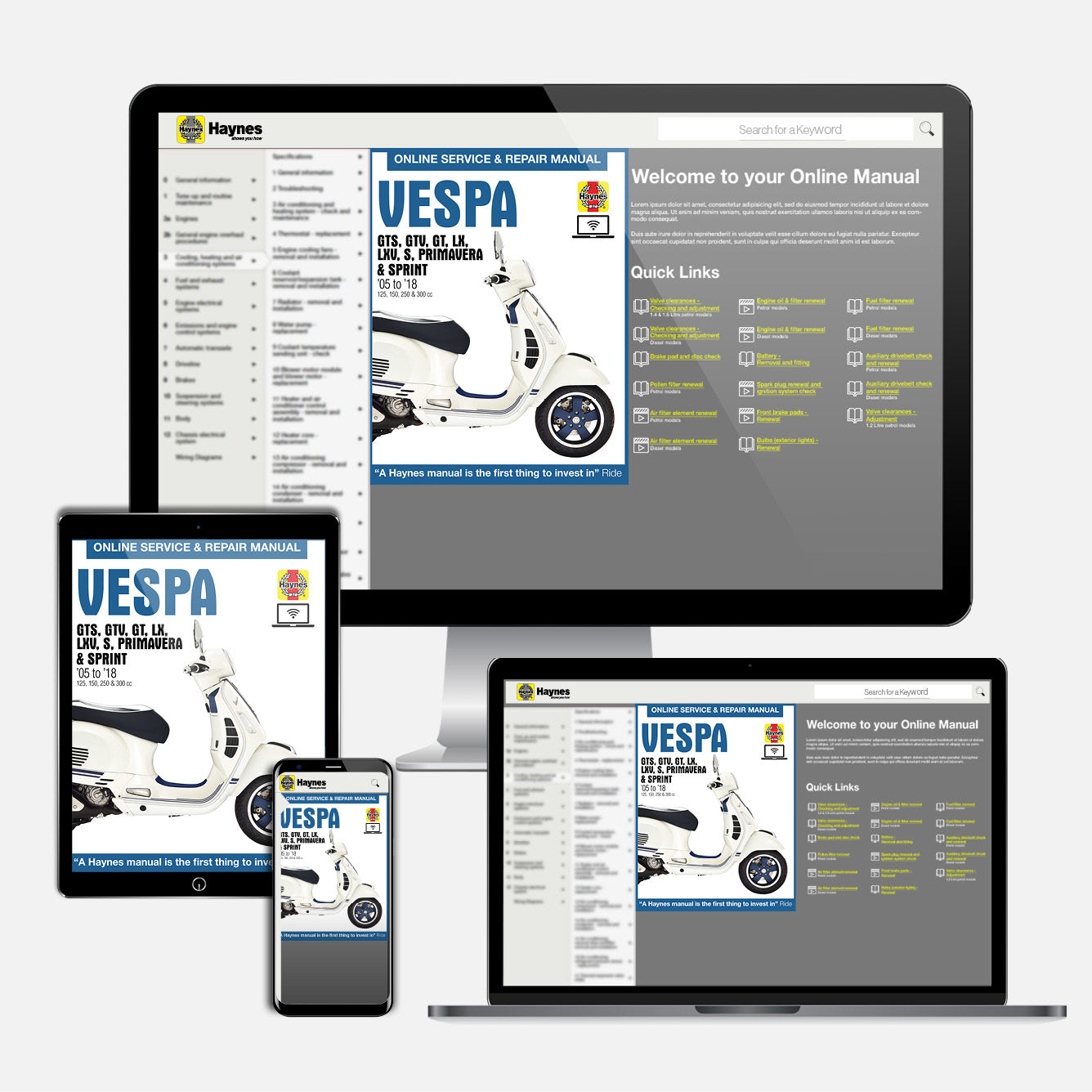 Vespa GTS, GTV, LX & S 125 to 300 (2005-2018) Haynes Repair Manual