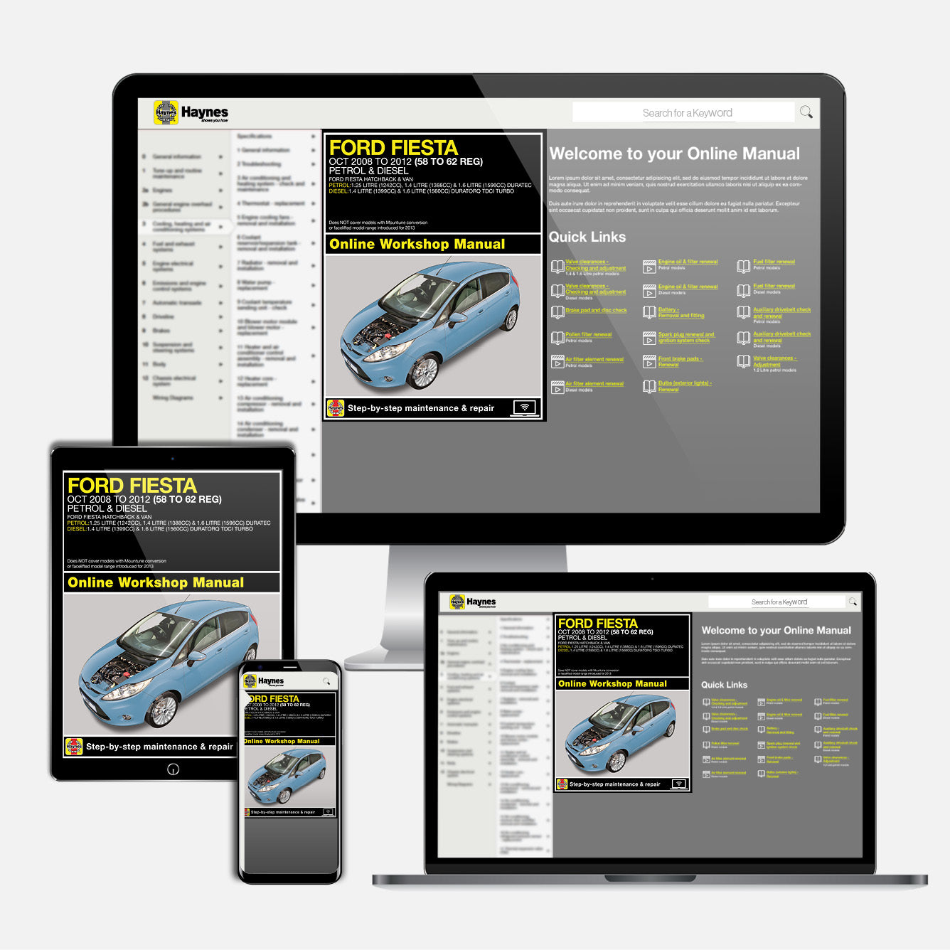 Ford Fiesta Petrol & Diesel (2008-2012) Haynes Repair Manual
