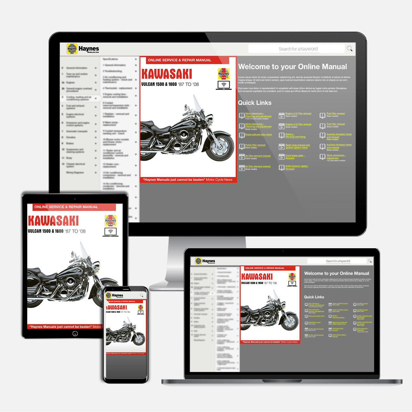 Kawasaki Vulcan 1500 & 1600 (1987-2008) Haynes Repair Manual