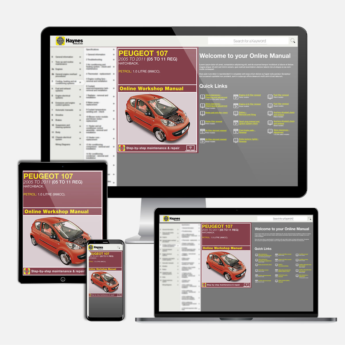 Peugeot 107 Petrol (2005-2011) Haynes Repair Manual