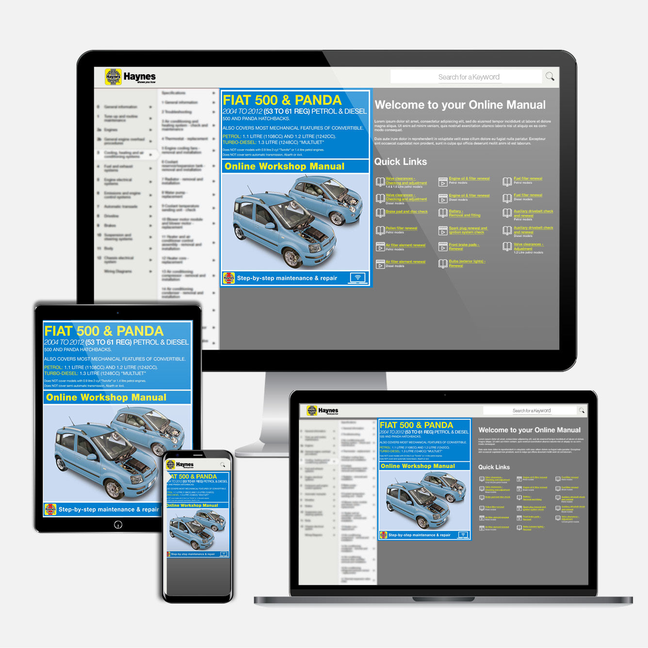 Fiat 500 & Panda (2004-2012) Haynes Repair Manual