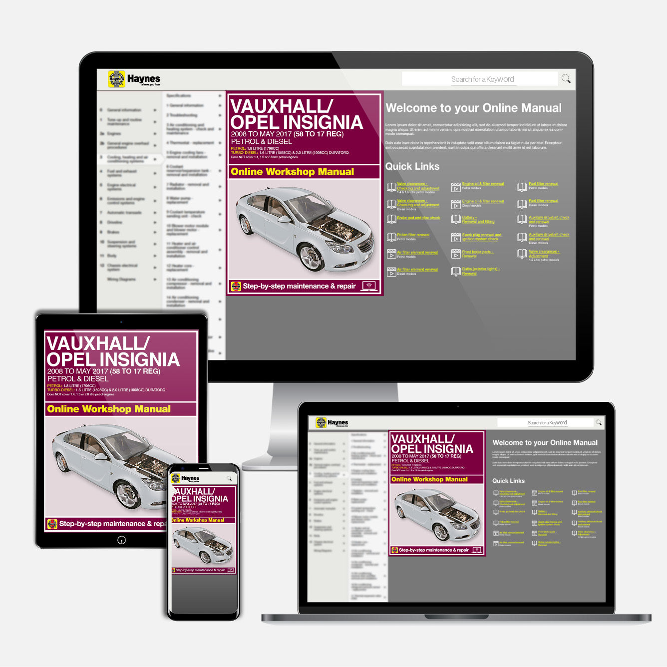 Vauxhall/Opel Insignia Petrol & Diesel (2008-2017) Haynes Repair Manual