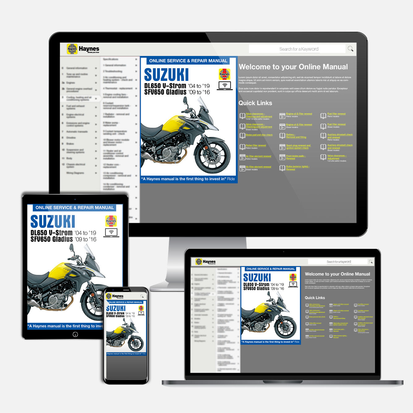 Suzuki DL650 V-Strom & SFV650 Gladius (2004-2019) Haynes Repair Manual