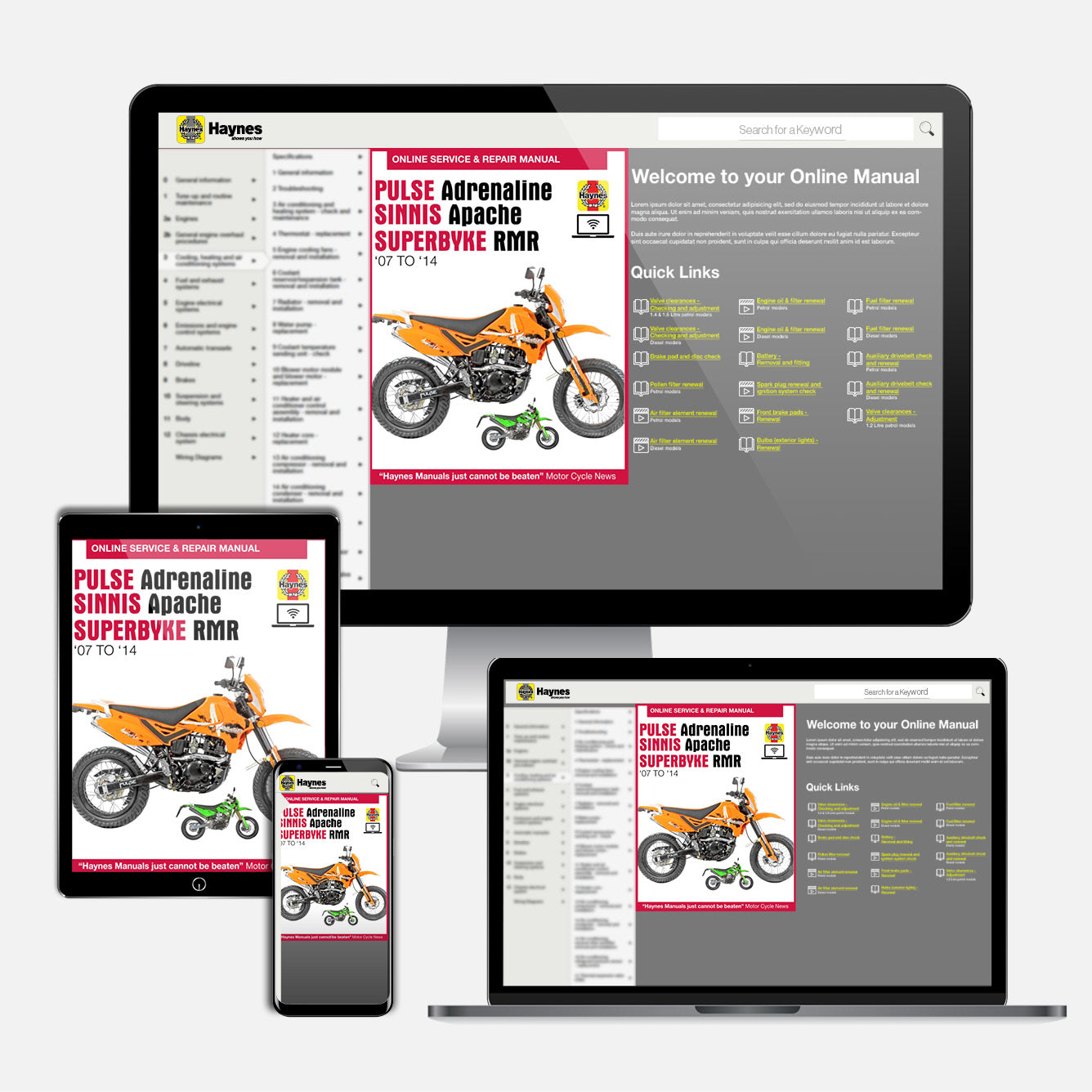 Pulse Adrenaline, Sinnis Apache, Superbyke RMR (2007-2014) Haynes Repair Manual