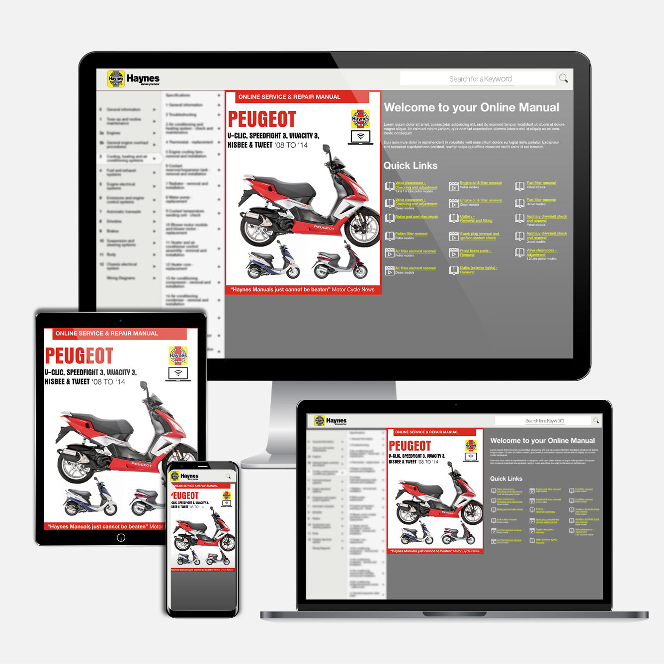 Peugeot V-Clic, Speedfight 3, Vivacity 3, Kisbee & Tweet (2008-2014) Haynes Repair Manual