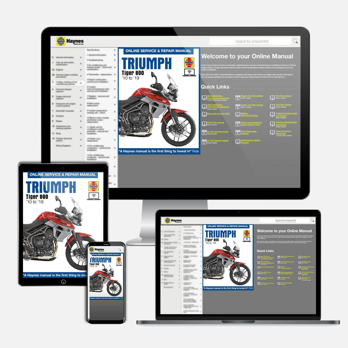 Triumph Tiger 800 (2010-2019) Haynes Repair Manual – Haynes
