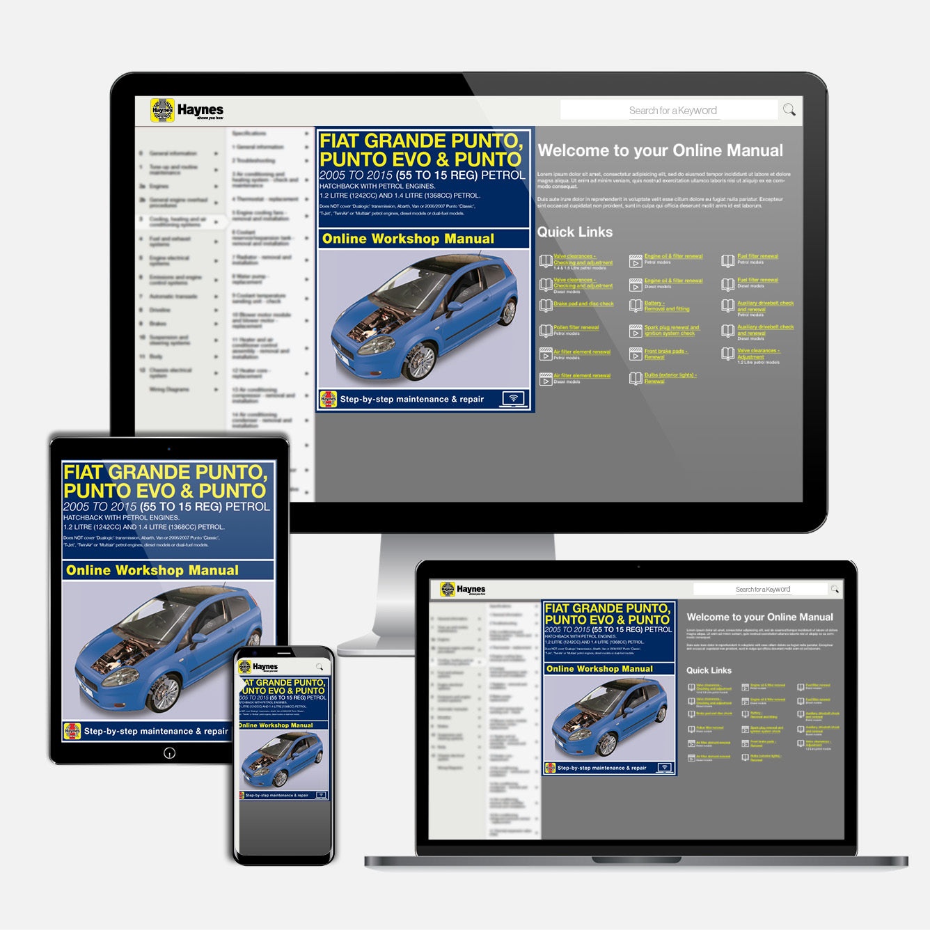 Fiat Grande Punto, Punto Evo and Punto Petrol (2006-2015) Haynes Repair Manual