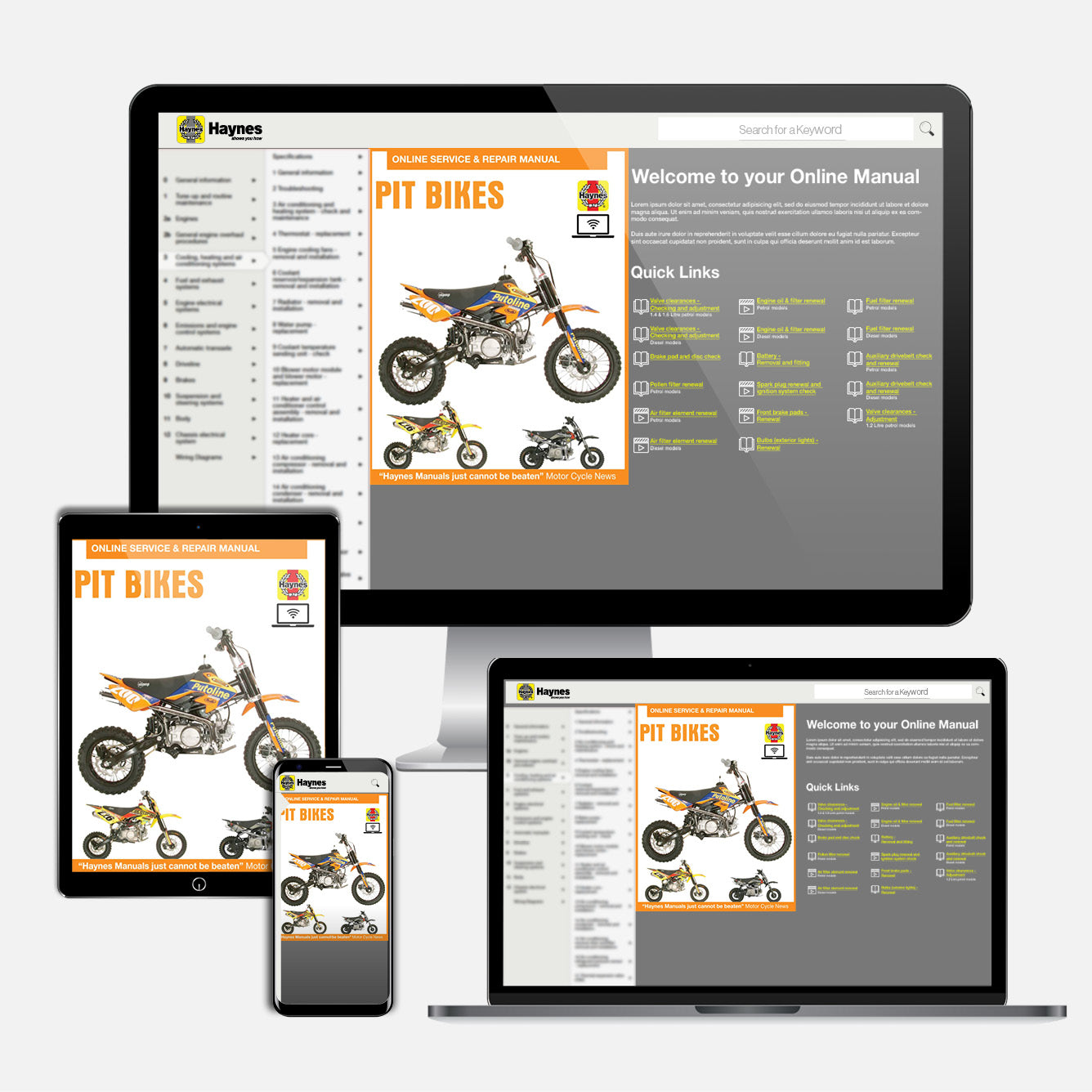 Pit Bikes Haynes Repair Manual