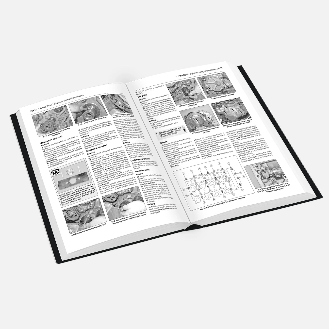 Open book with text and images on a white background