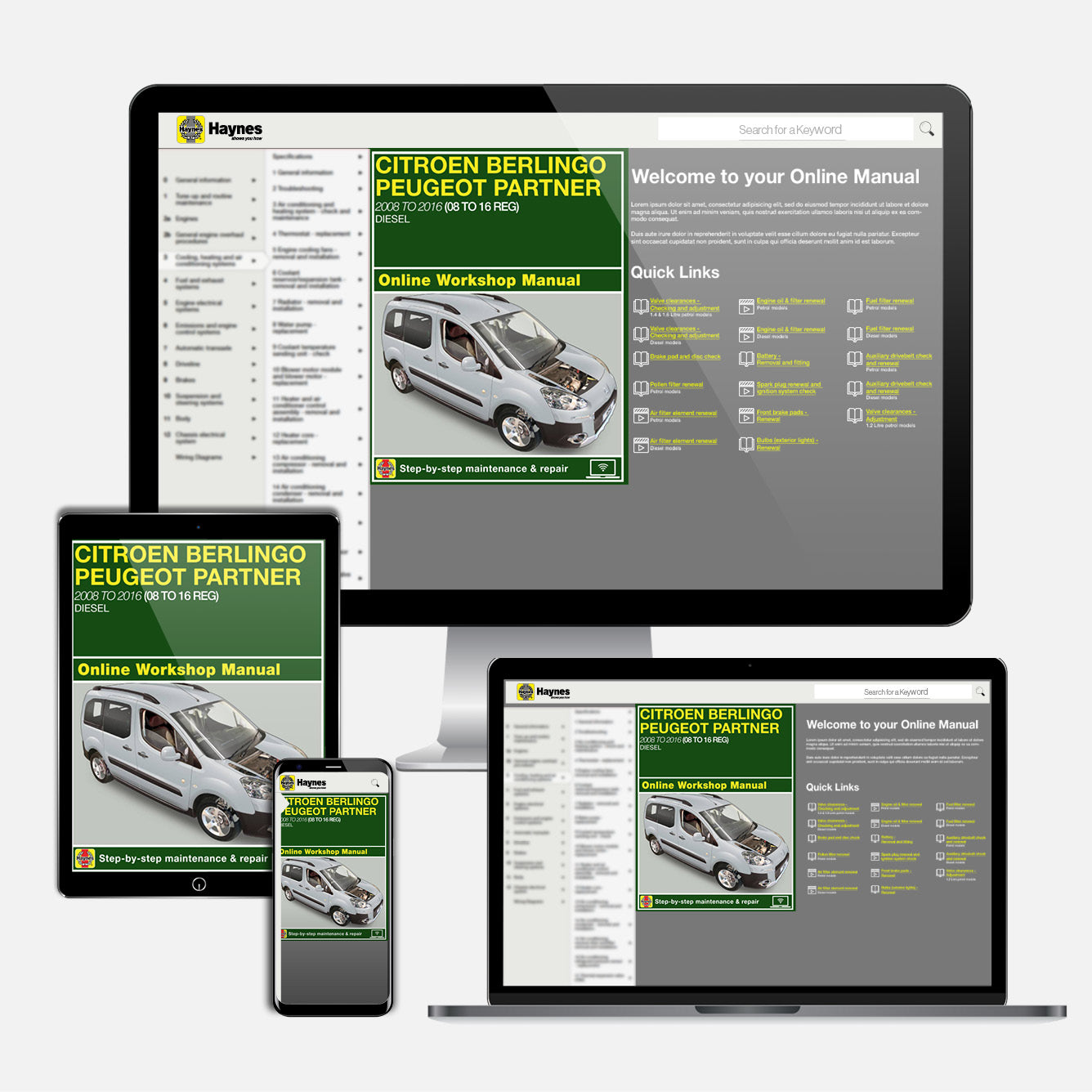 Citroen Berlingo & Peugeot Partner Diesel (June 2008-2016) 08 to 16 Haynes Repair Manual