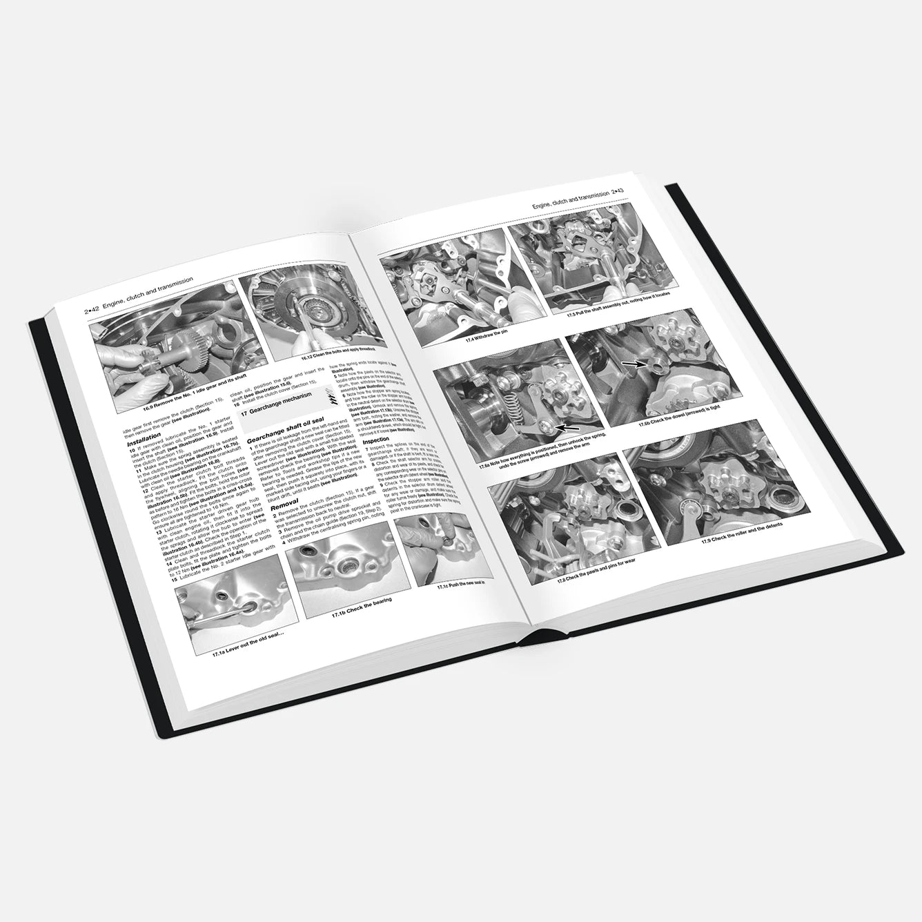 Open book with illustrations and text on a white background