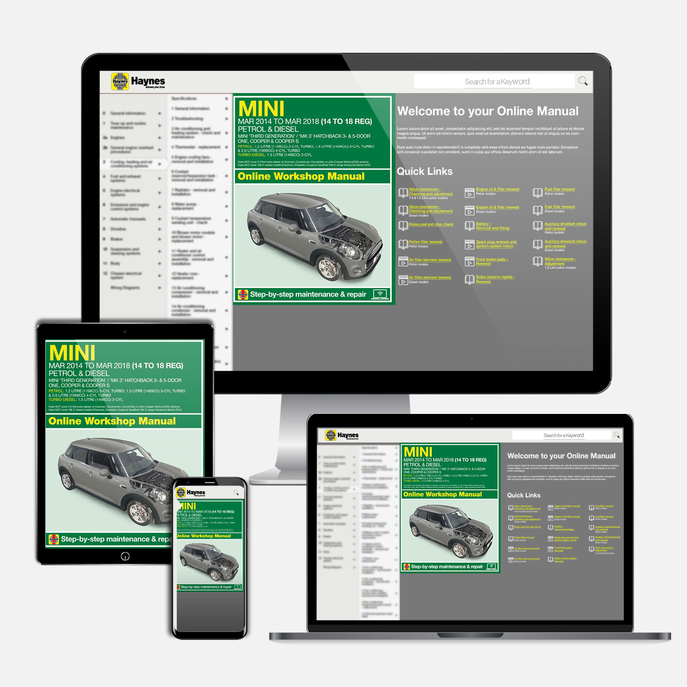 Mini Petrol & Diesel (March 2014-2018) Haynes Repair Manual