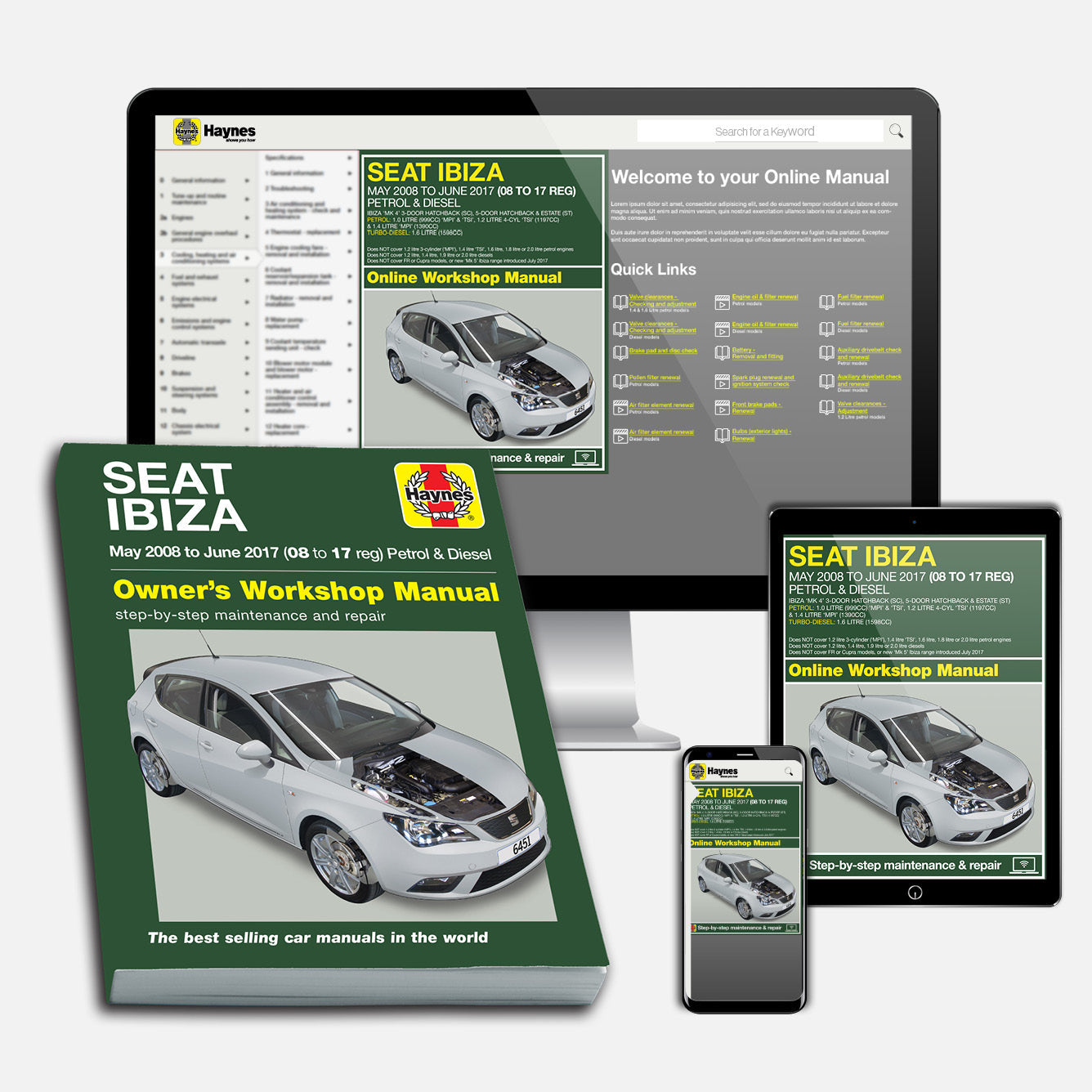 Seat Ibiza May 2008-June 2017 Haynes Repair Manual Bundle