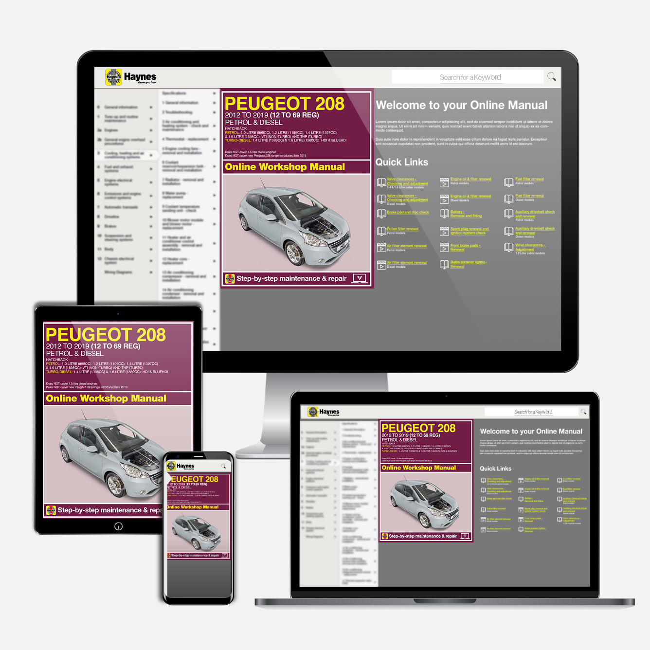 Peugeot 208 Petrol & Diesel (2012-2019) 12 to 69 reg Haynes Repair Manual