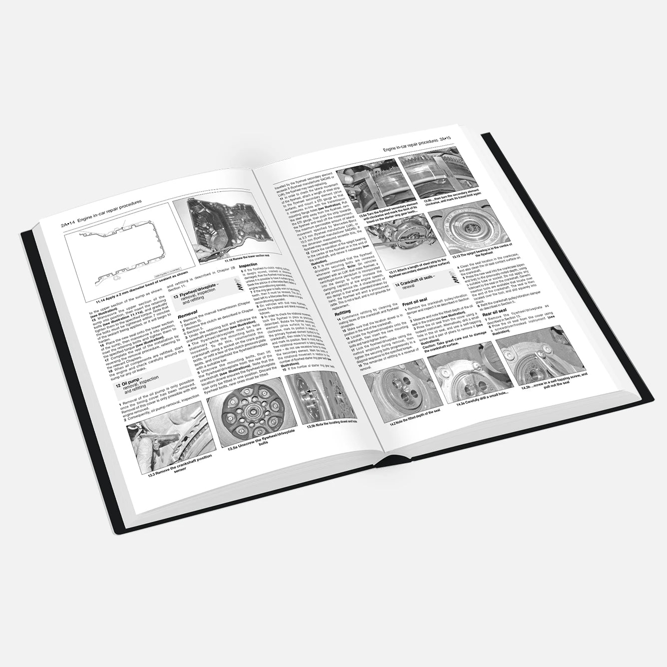Open book with text and illustrations on a white background