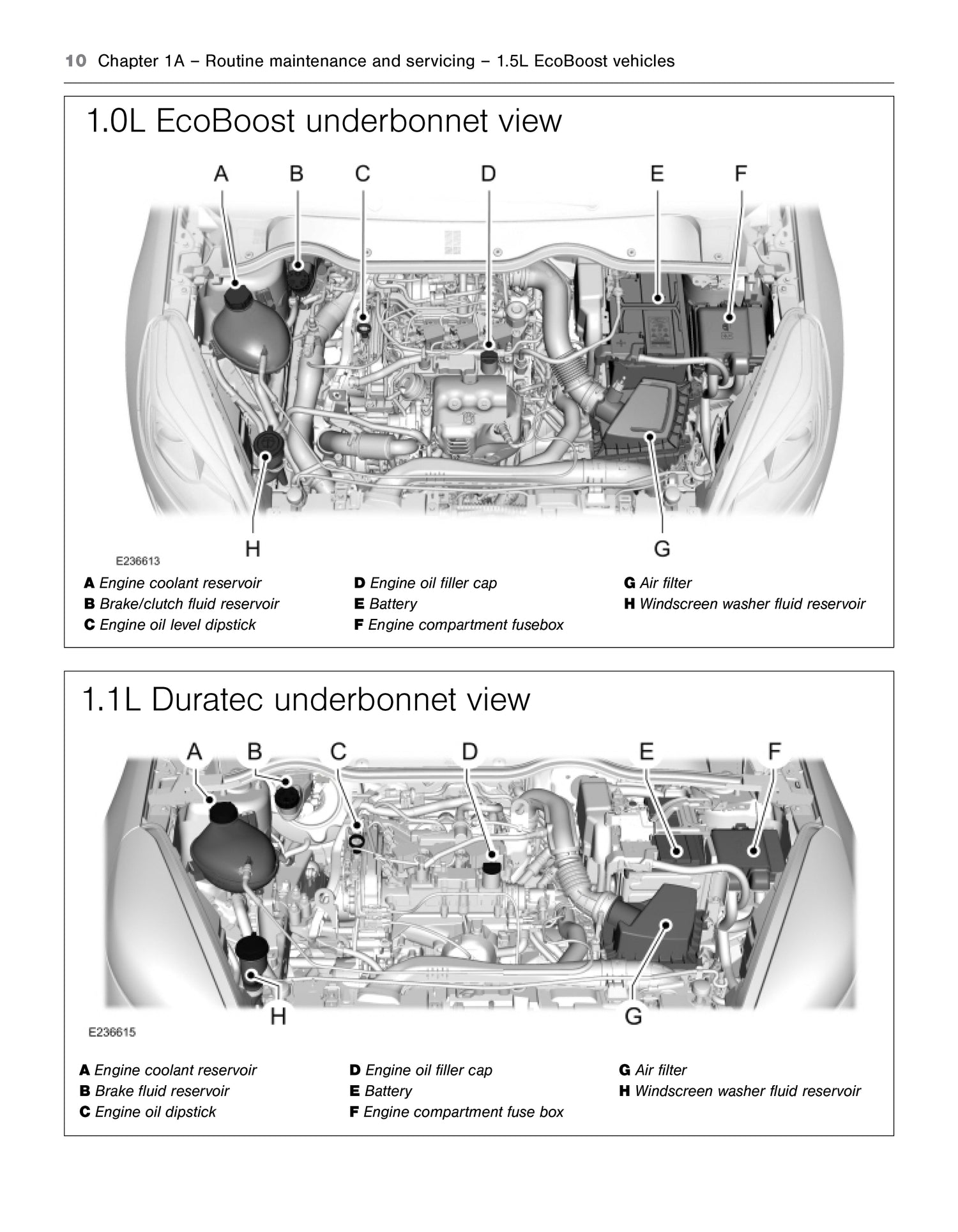 Ford Fiesta Petrol (2017-2023) Haynes Repair Manual