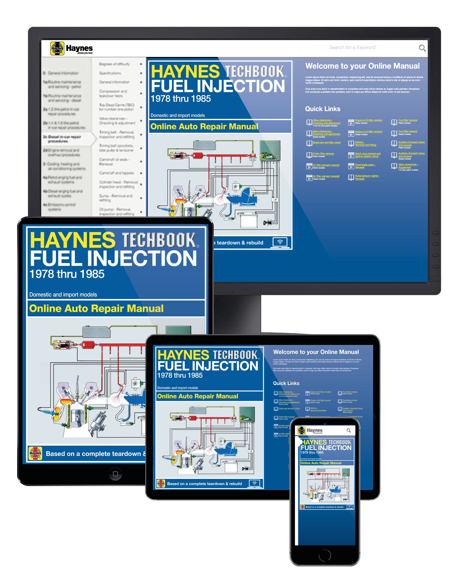 Fuel Injection 1978-1985 Haynes Online Techbook (USA)